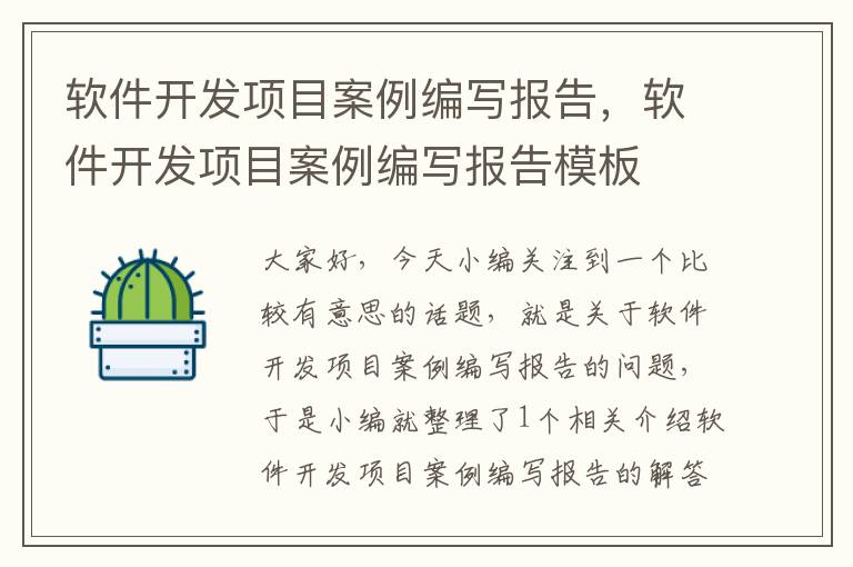 软件开发项目案例编写报告，软件开发项目案例编写报告模板