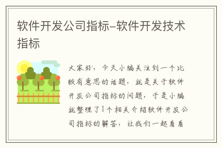 软件开发公司指标-软件开发技术指标