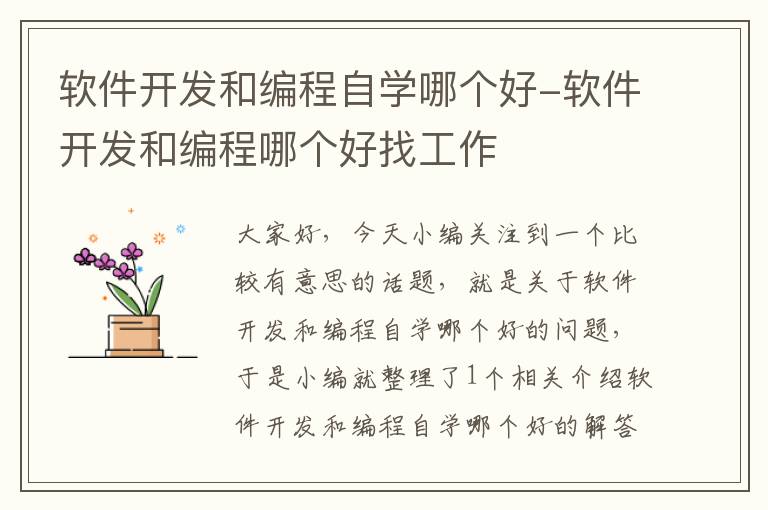 软件开发和编程自学哪个好-软件开发和编程哪个好找工作