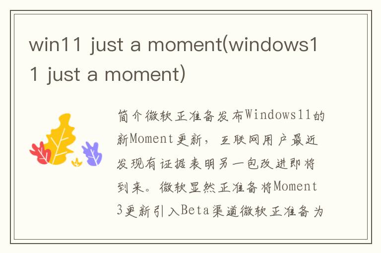 win11 just a moment(windows11 just a moment)