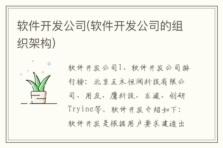 软件开发公司(软件开发公司的组织架构)