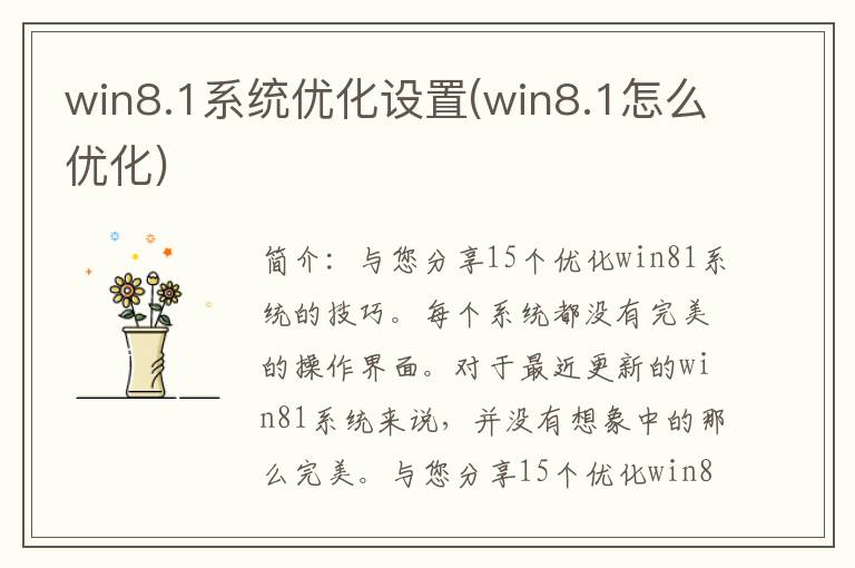 win8.1系统优化设置(win8.1怎么优化)