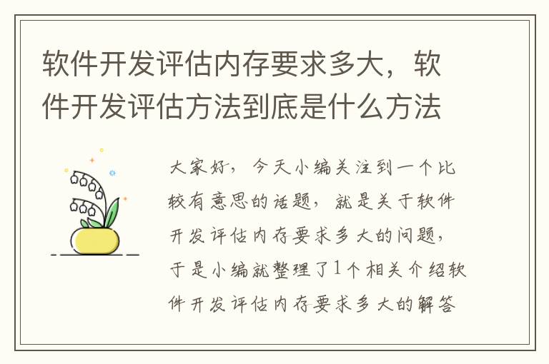 软件开发评估内存要求多大，软件开发评估方法到底是什么方法