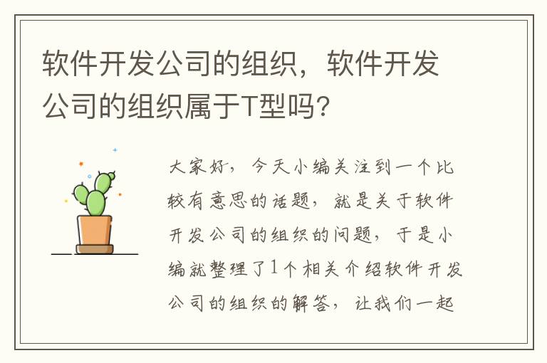 软件开发公司的组织，软件开发公司的组织属于T型吗?