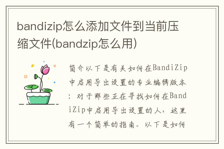 bandizip怎么添加文件到当前压缩文件(bandzip怎么用)