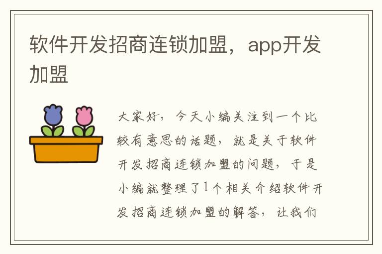 软件开发招商连锁加盟，app开发加盟