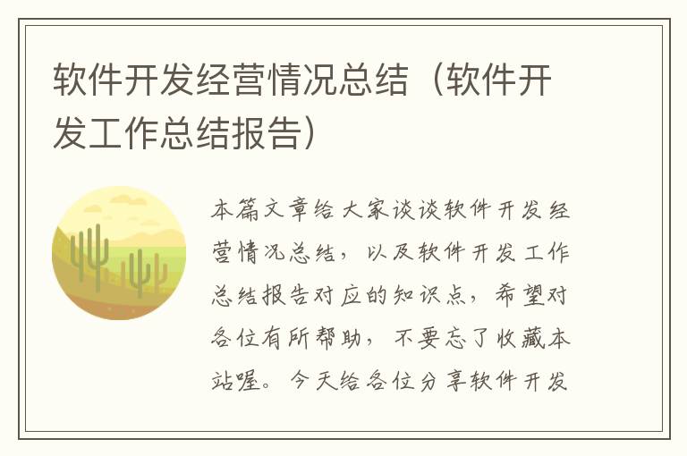 软件开发经营情况总结（软件开发工作总结报告）