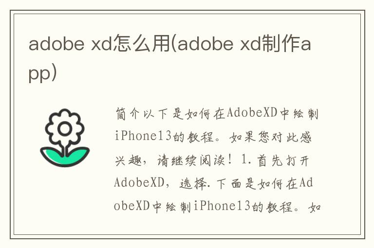 adobe xd怎么用(adobe xd制作app)