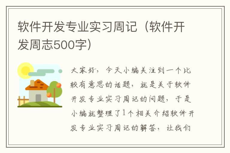 软件开发专业实习周记（软件开发周志500字）