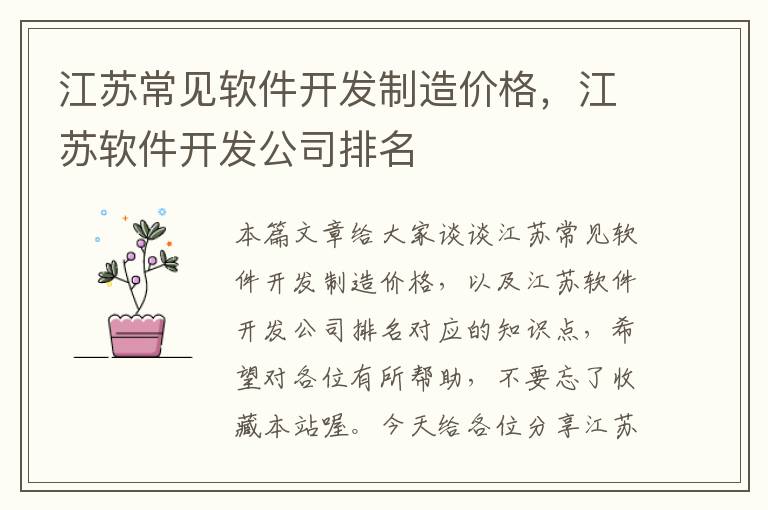 江苏常见软件开发制造价格，江苏软件开发公司排名