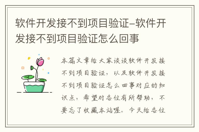 软件开发接不到项目验证-软件开发接不到项目验证怎么回事