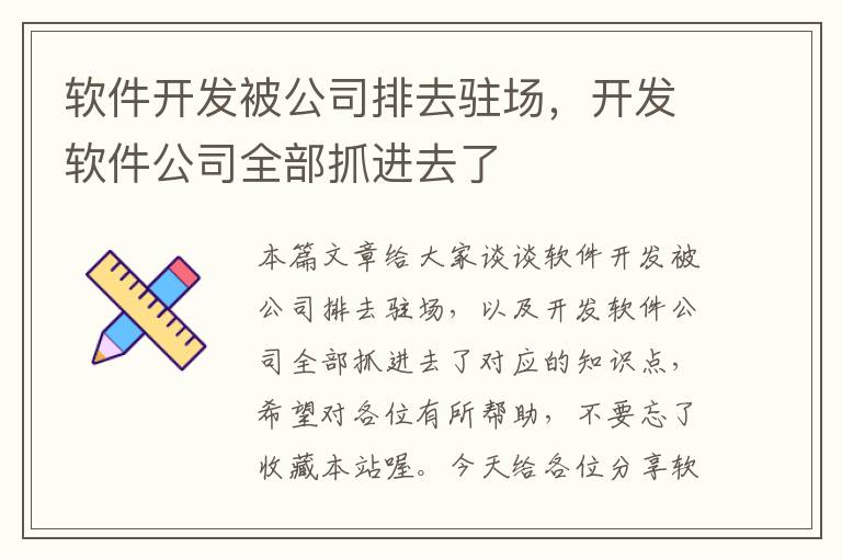 软件开发被公司排去驻场，开发软件公司全部抓进去了