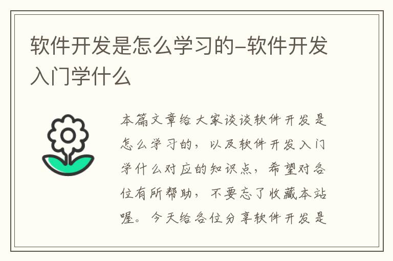 软件开发是怎么学习的-软件开发入门学什么