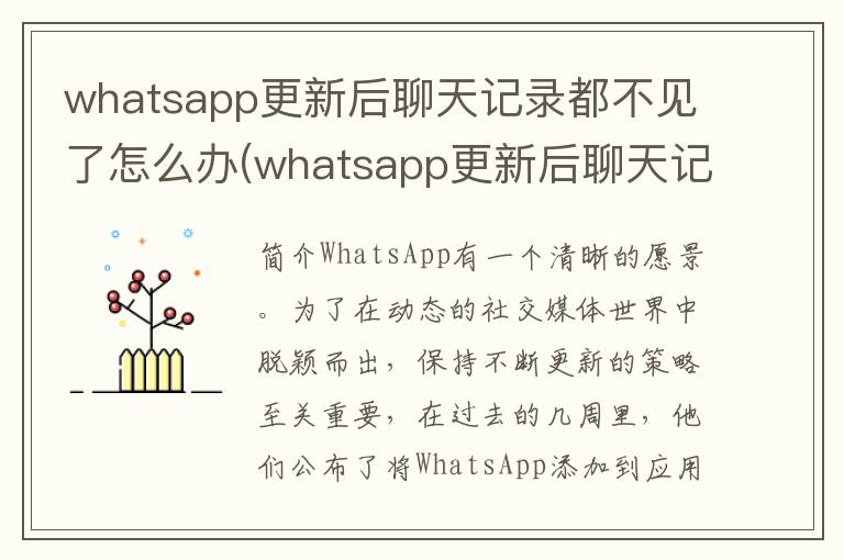 whatsapp更新后聊天记录都不见了怎么办(whatsapp更新后聊天记录都不见了怎么办)