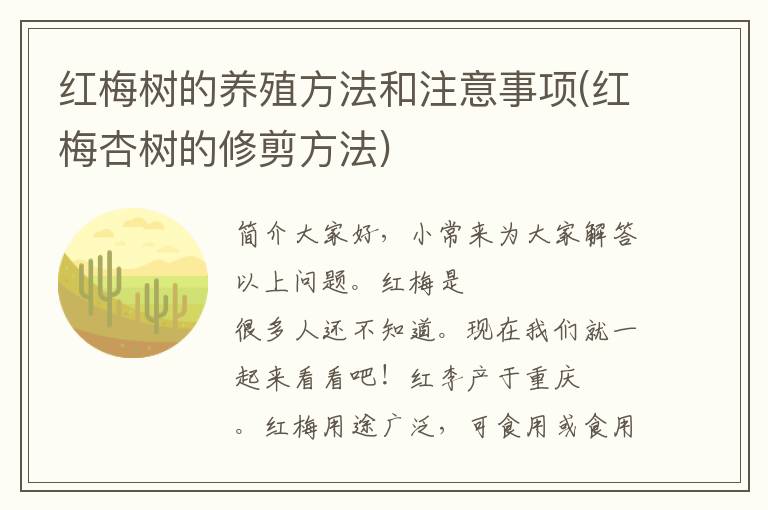 红梅树的养殖方法和注意事项(红梅杏树的修剪方法)