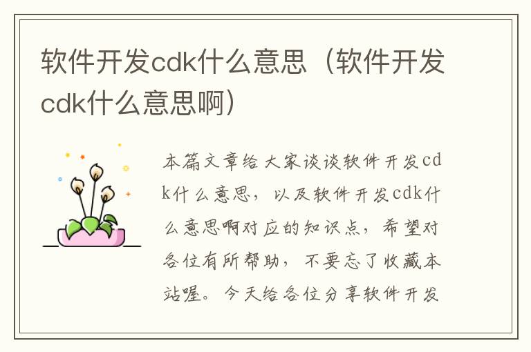 软件开发cdk什么意思（软件开发cdk什么意思啊）