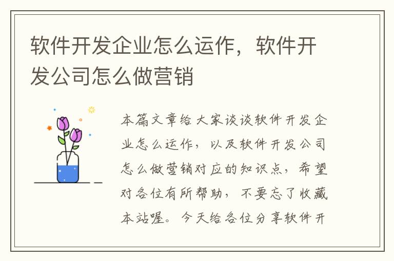 软件开发企业怎么运作，软件开发公司怎么做营销