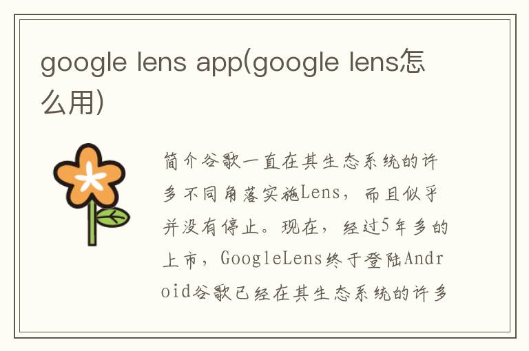 google lens app(google lens怎么用)