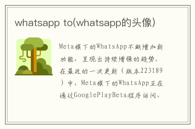 whatsapp to(whatsapp的头像)