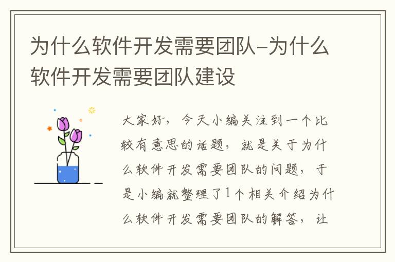 为什么软件开发需要团队-为什么软件开发需要团队建设