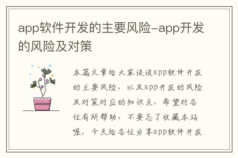 app软件开发的主要风险-app开发的风险及对策