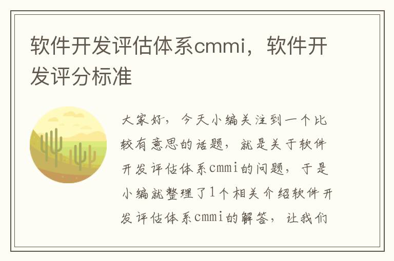 软件开发评估体系cmmi，软件开发评分标准