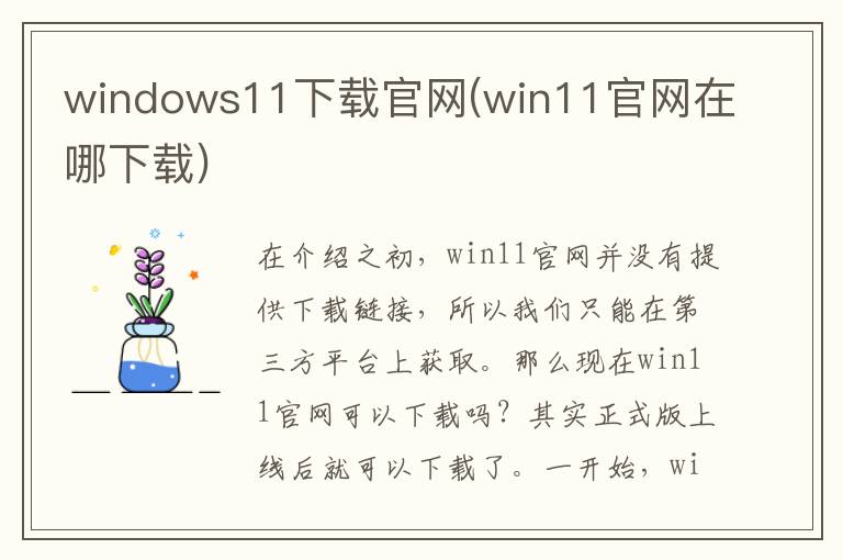 windows11下载官网(win11官网在哪下载)