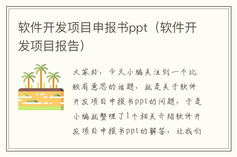 软件开发项目申报书ppt（软件开发项目报告）