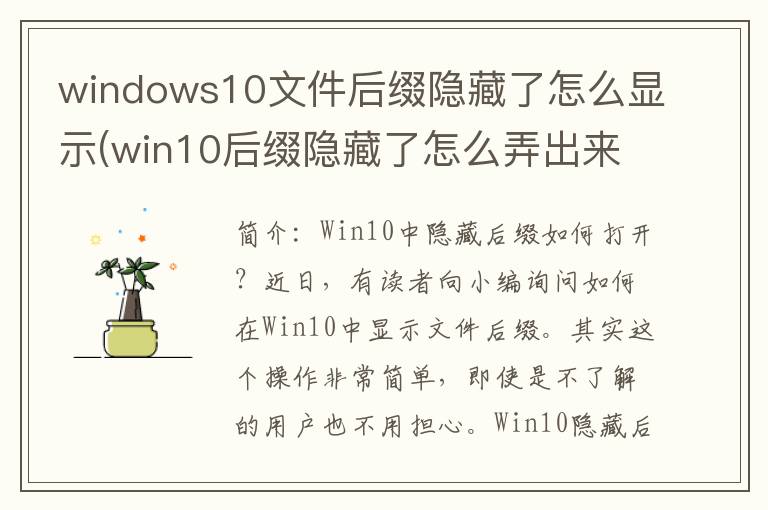 windows10文件后缀隐藏了怎么显示(win10后缀隐藏了怎么弄出来)