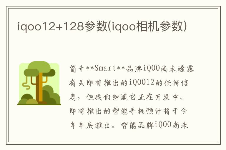 iqoo12+128参数(iqoo相机参数)