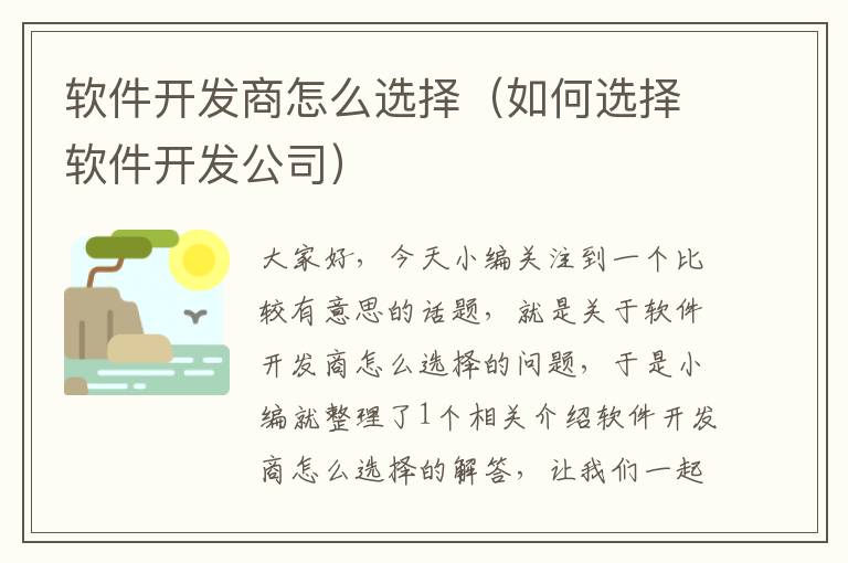 软件开发商怎么选择（如何选择软件开发公司）