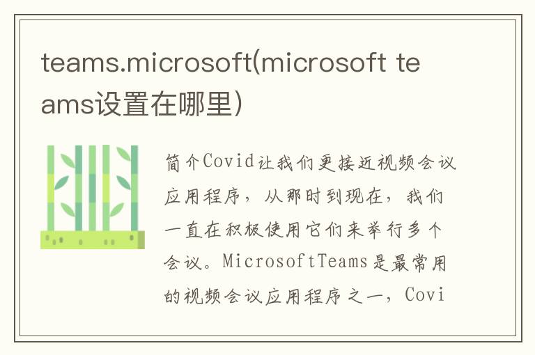 teams.microsoft(microsoft teams设置在哪里)