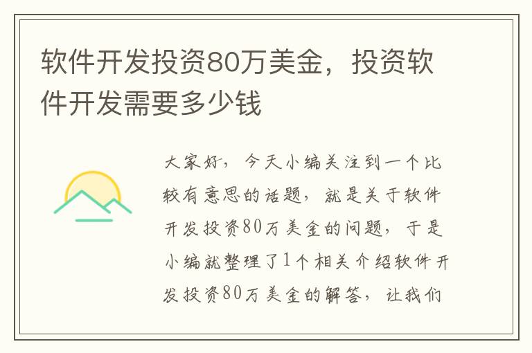 软件开发投资80万美金，投资软件开发需要多少钱