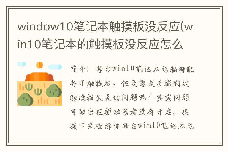 window10笔记本触摸板没反应(win10笔记本的触摸板没反应怎么办)