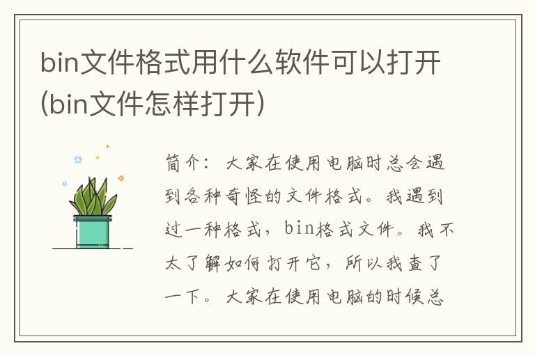 bin文件格式用什么软件可以打开(bin文件怎样打开)