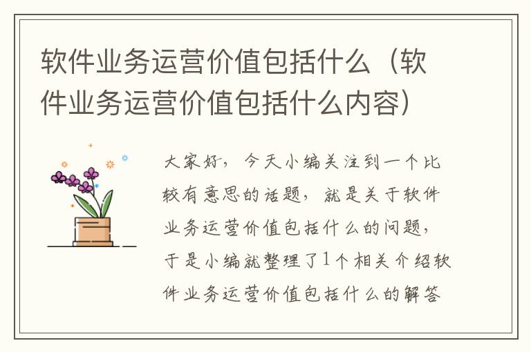 软件业务运营价值包括什么（软件业务运营价值包括什么内容）