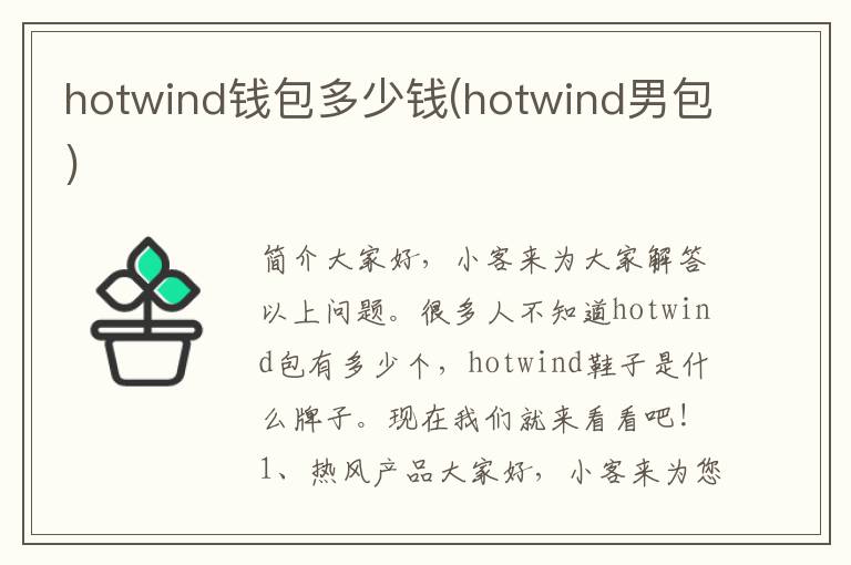 hotwind钱包多少钱(hotwind男包)