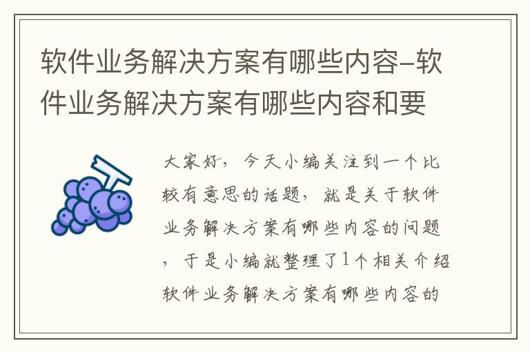 软件业务解决方案有哪些内容-软件业务解决方案有哪些内容和要求