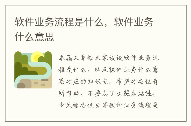 软件业务流程是什么，软件业务什么意思