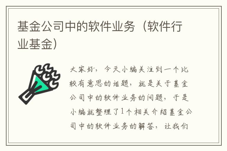 基金公司中的软件业务（软件行业基金）