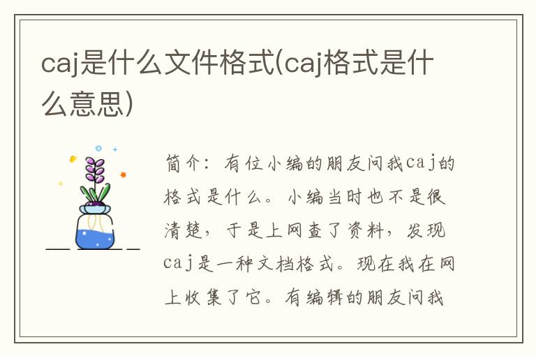 caj是什么文件格式(caj格式是什么意思)