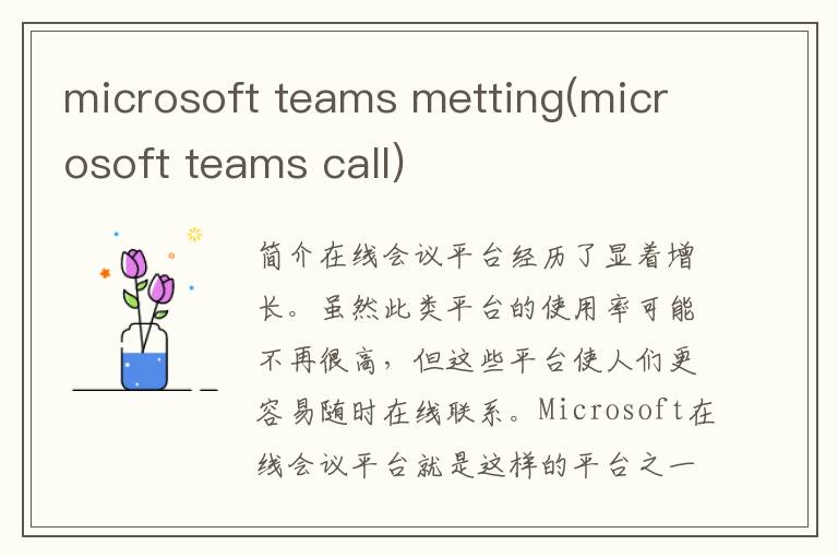 microsoft teams metting(microsoft teams call)