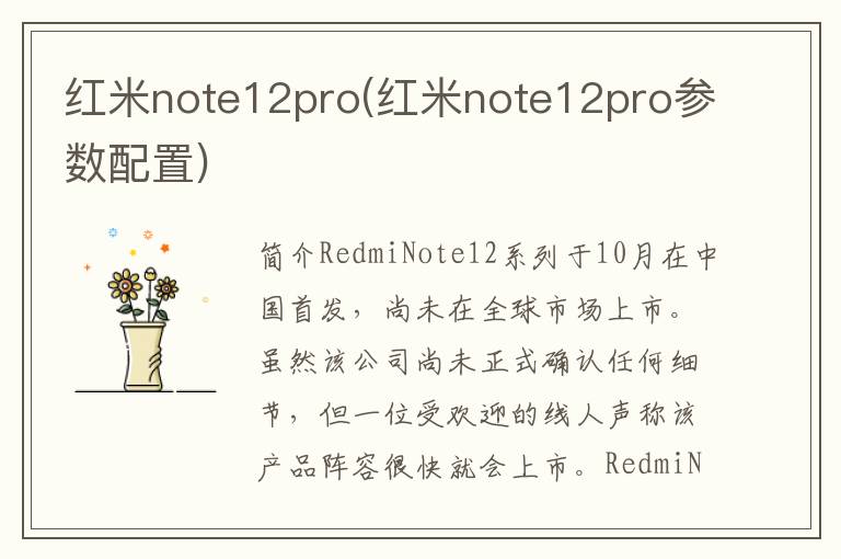 红米note12pro(红米note12pro参数配置)