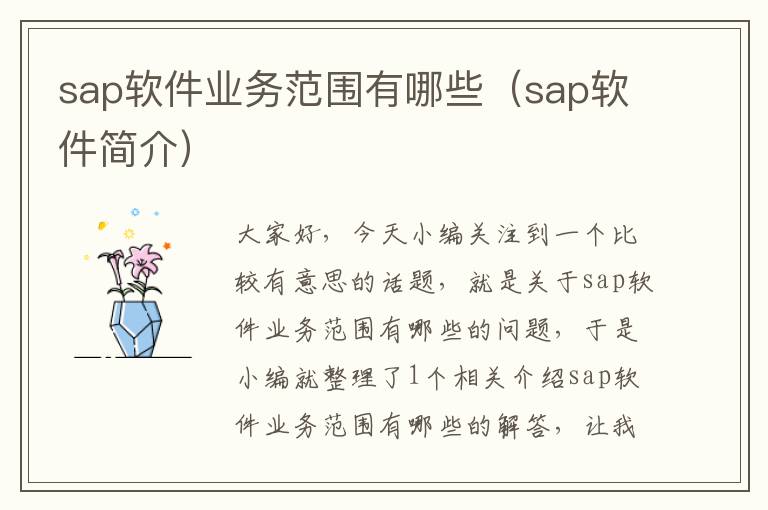 sap软件业务范围有哪些（sap软件简介）