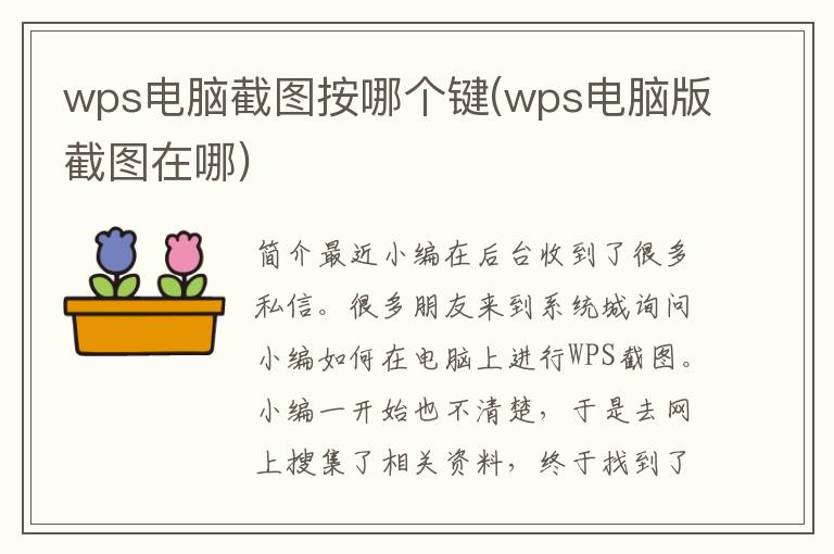 wps电脑截图按哪个键(wps电脑版截图在哪)