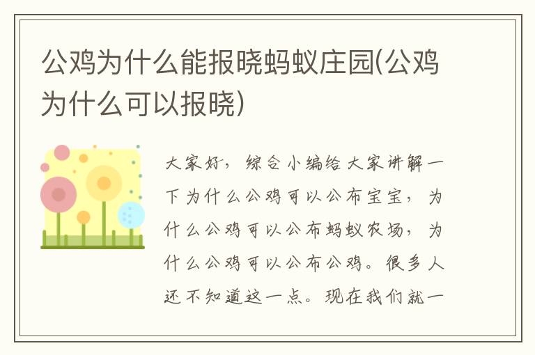 公鸡为什么能报晓蚂蚁庄园(公鸡为什么可以报晓)