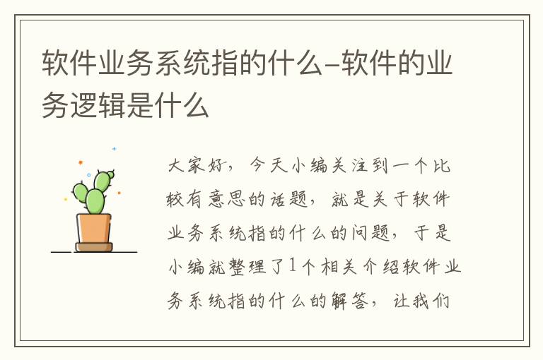 软件业务系统指的什么-软件的业务逻辑是什么