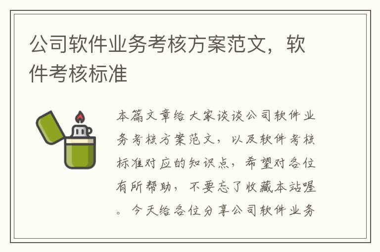 公司软件业务考核方案范文，软件考核标准