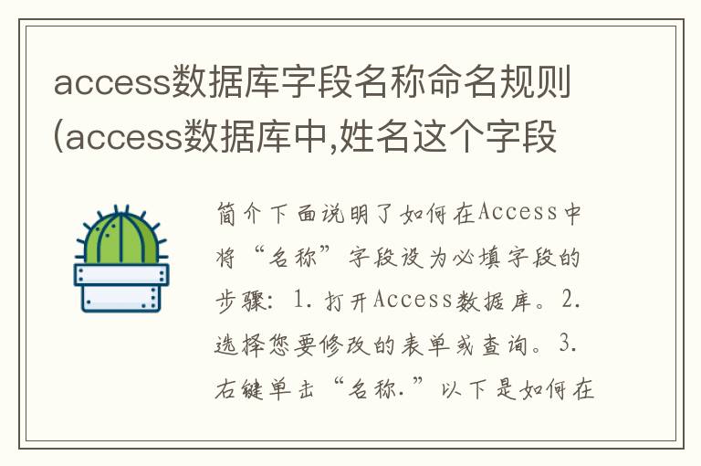 access数据库字段名称命名规则(access数据库中,姓名这个字段应选的类型是)