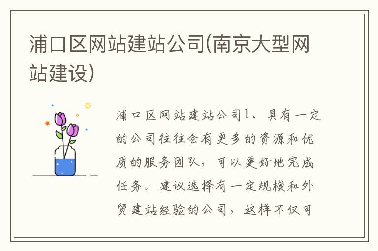 浦口区网站建站公司(南京大型网站建设)